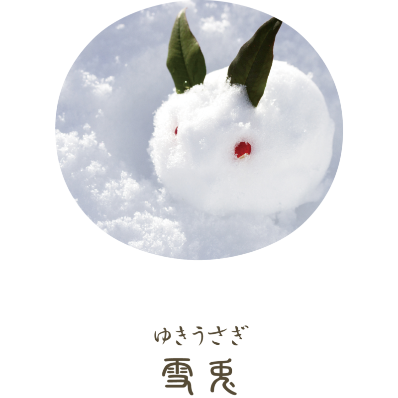 Yukiusagi (雪兎), Kusa Asobi (草遊び), Shikiori (四季織), Bottled Ink for Fountain Pen