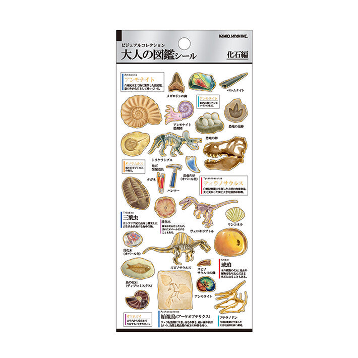 化石|大人之圖鑑