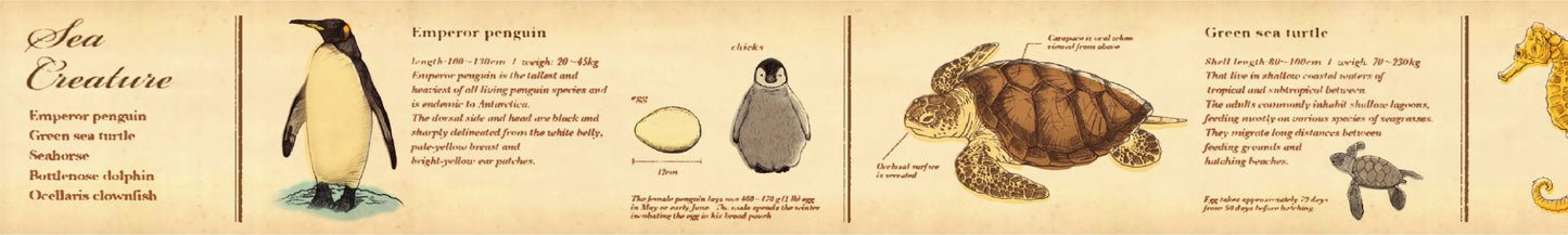 mt ex, Encyclopedia Marine Creature, 30mm x 7m