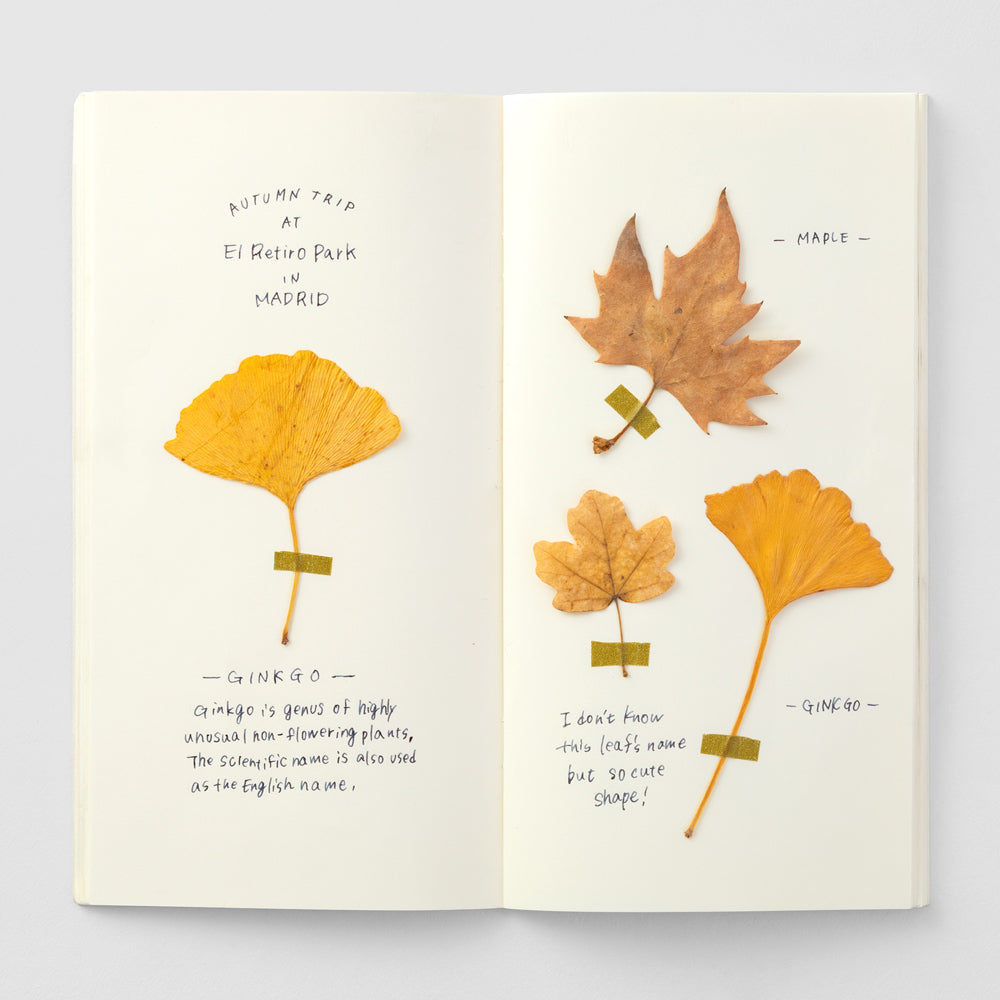 TRAVELER'S notebook, MD Paper Cream 025, Refill Regular Size