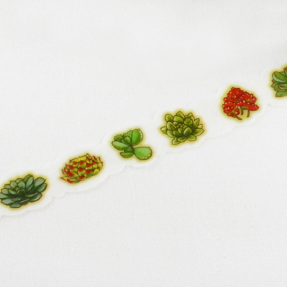 Succulent Plants, ROUND TOP Masking Tape