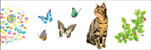 Masking Tape - mt ex, Set Content, 35mm x 10m - KEY Handmade
- 3