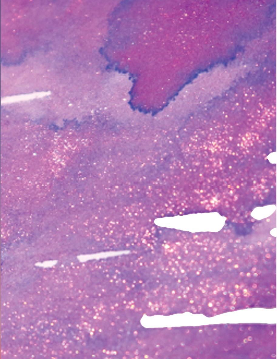 Sunset, Pearl Ink, 25ml Ink