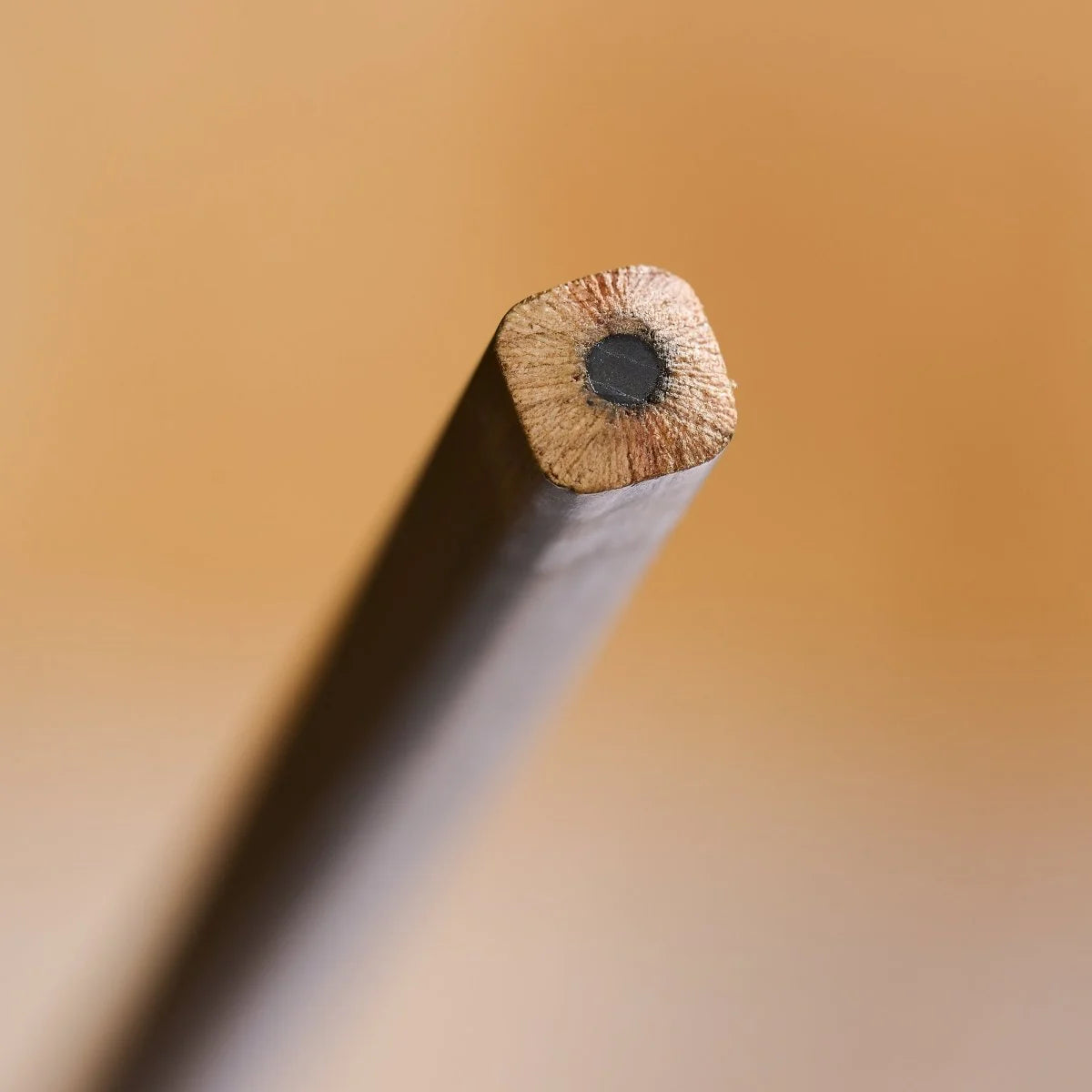 The Woodworking Pencil, Volume 21 Blackwing Pencil