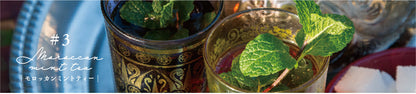 [Limited Edition] SAILOR, Mint & Sugar, Teatime Around the World #3 Moroccan Mint Tea, Fountain Pen MF / M Nib