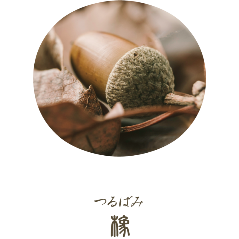 Tsurubami (橡), Kusa Asobi (草遊び), Shikiori (四季織), Bottled Ink for Fountain Pen