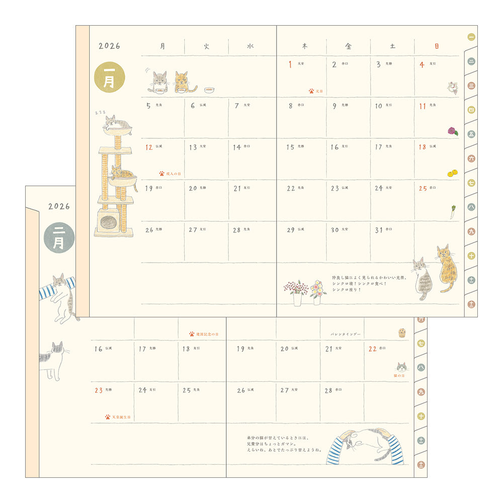 2026 Pocket Diary, B6, Cat