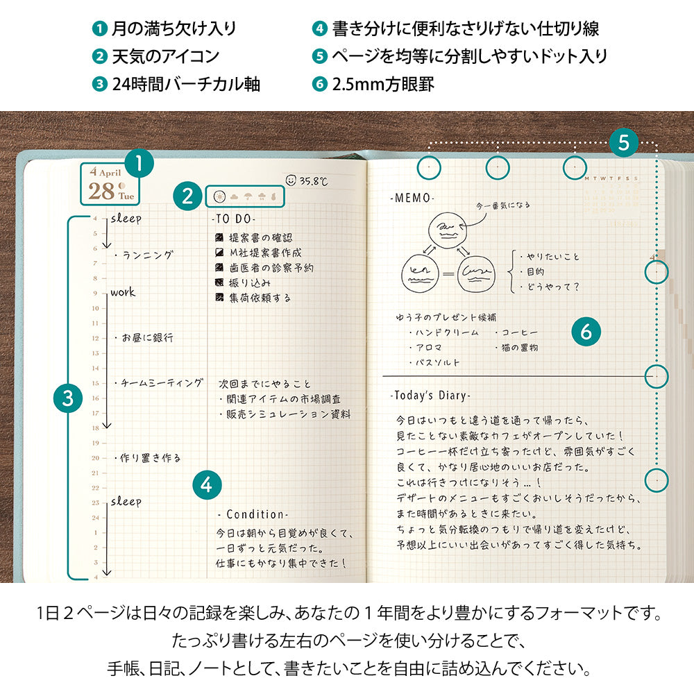 2026 hibino, A6, Blue Green Color