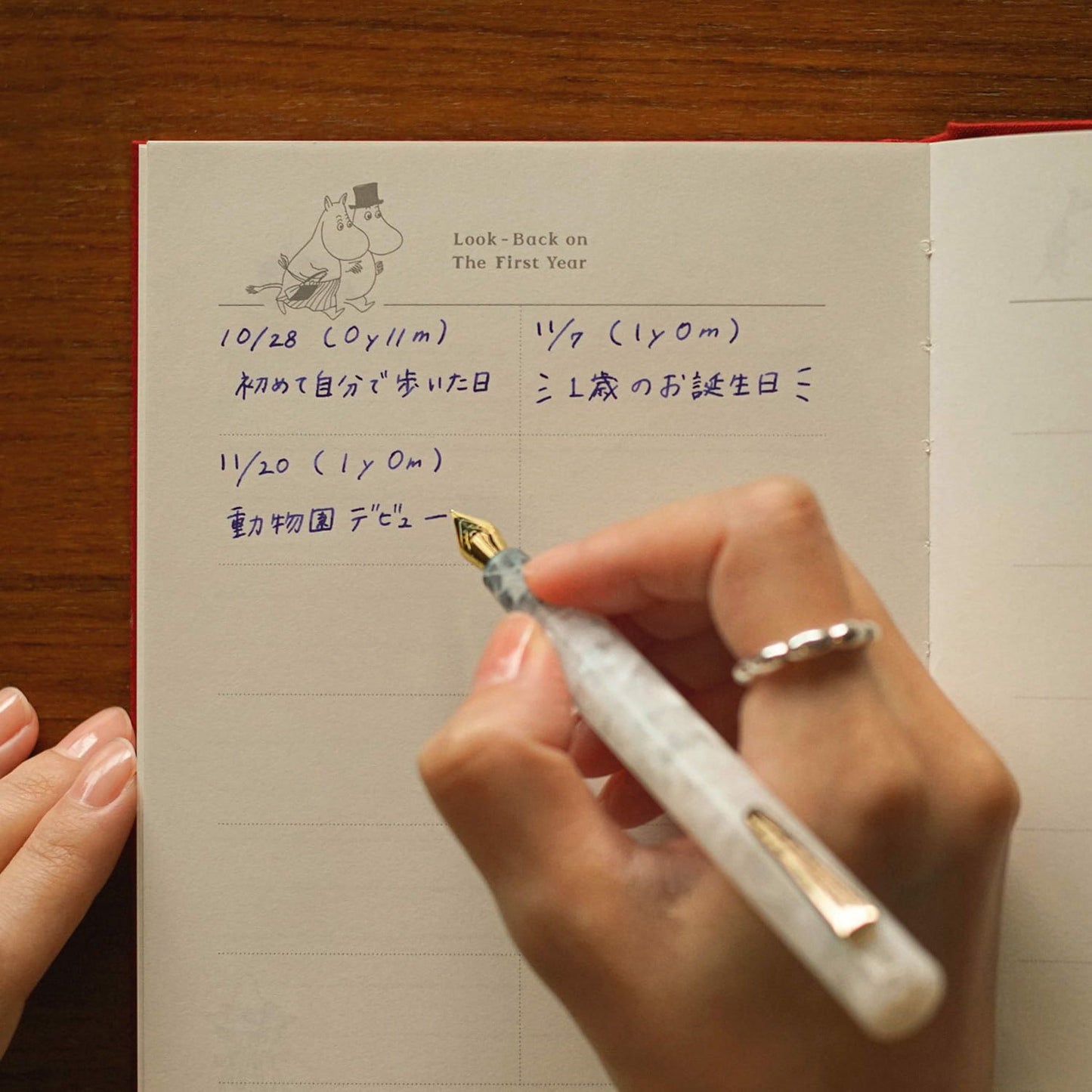 Moomin, Red, 3-Year Diary