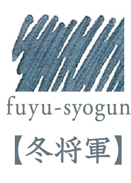 冬將軍｜色彩雫 鋼筆墨水｜50ml / 15ml