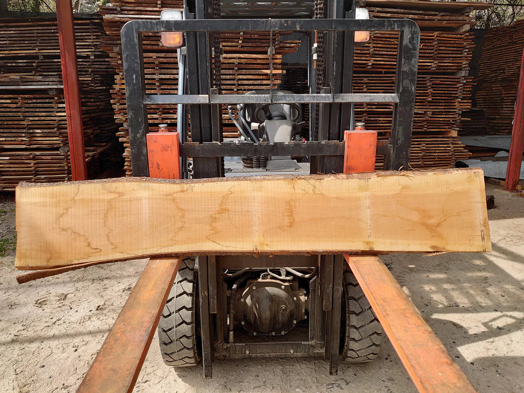 White Sakura Wood, Nib Holder