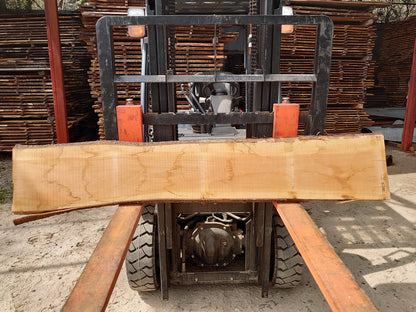 White Sakura Wood, Nib Holder