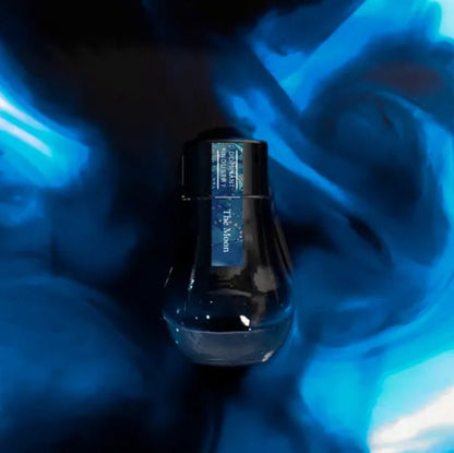 The Moon, Painter Series Standard Ink, 25ml Ink