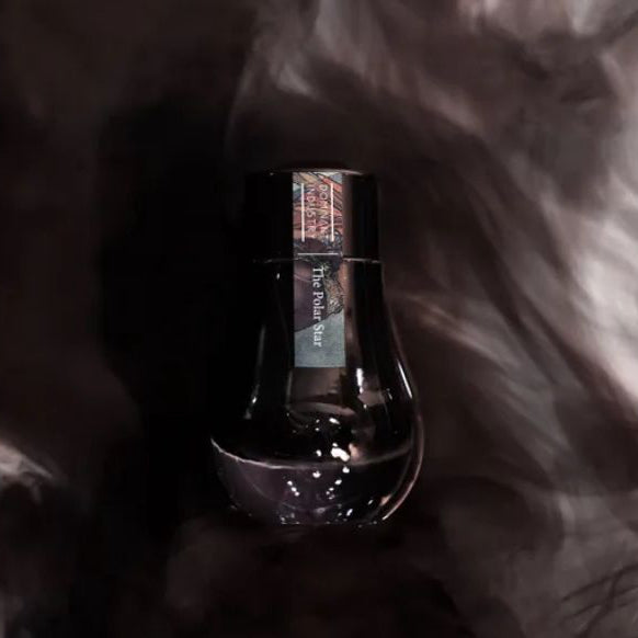 Polar Star, Painter Series Standard Ink, 25ml Ink