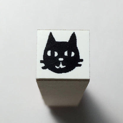 Black Kitten