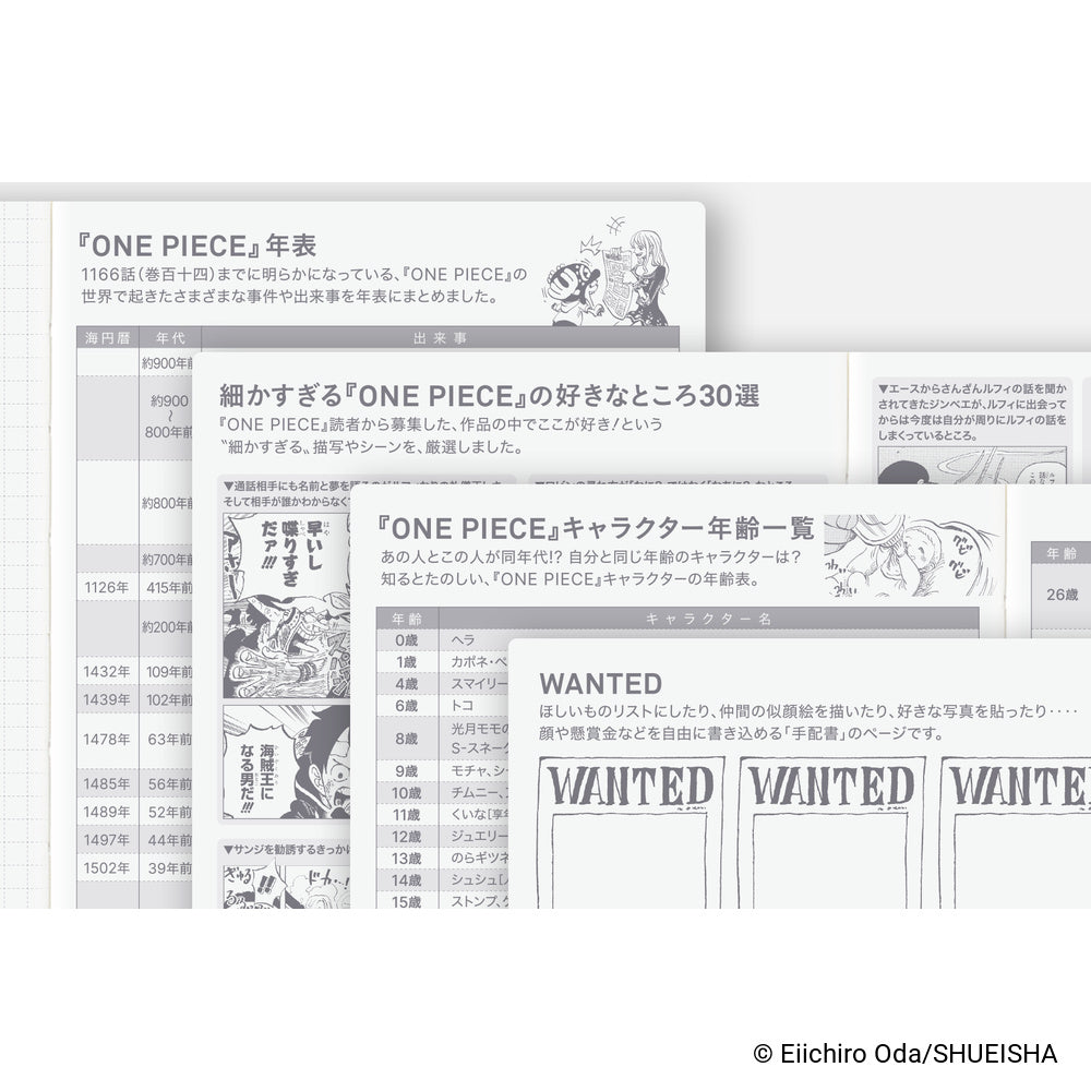 ONE PIECE magazine: Very Very Merry!, A6 HON Japanese Version
