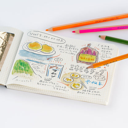Akiko Miyakoshi: I Dream of a Journey, Hobonichi Landscape Notebook