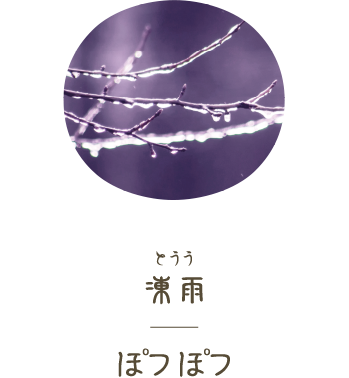 SAILOR, Winter Rain (凍雨), Shikiori (四季織), The Sound of Rain (雨音), Fountain Pen MF Nib