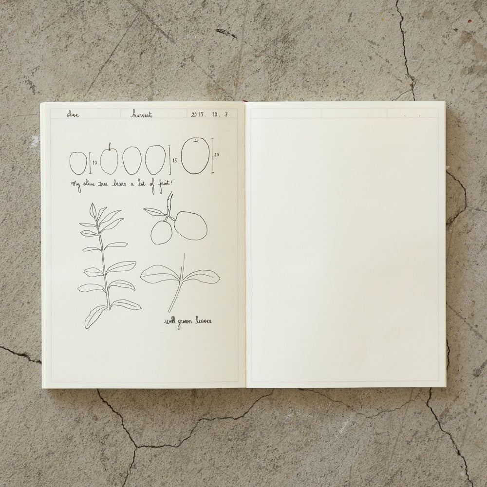 MD Notebook Journal, A5, Frame